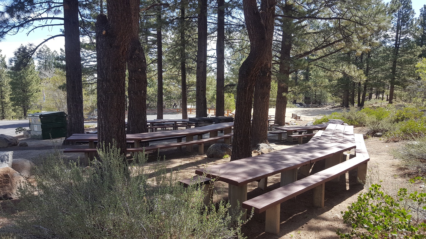 Manzanita Group Picnic Area